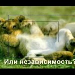 2010_01_20 Социальный ролик. Мы против войны - мы за мир! thumbnail