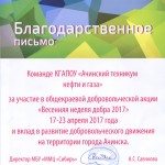 добровольческая акция
