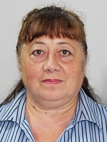 StrelnikovMini