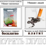 Pp8CaRwDb08