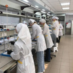 Студенты за выполнением задания